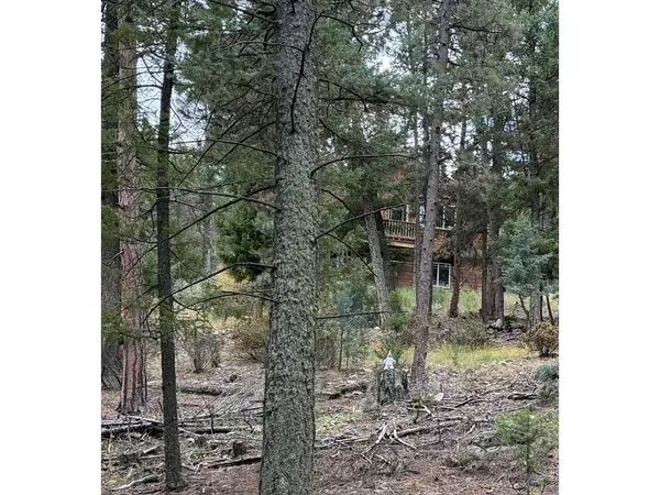0 Toboggan, Pine, CO 80470
