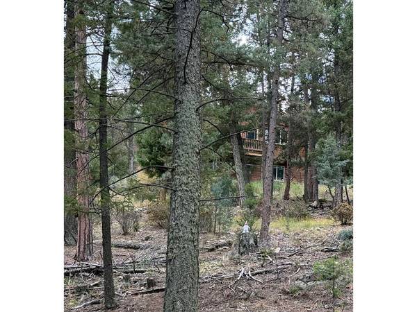 0 Toboggan, Pine, CO 80470