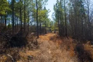 0 White Oak Rd, Stewart, TN 37175