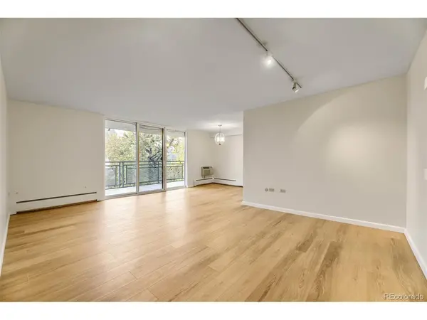909 N Lafayette #403, Denver, CO 80218