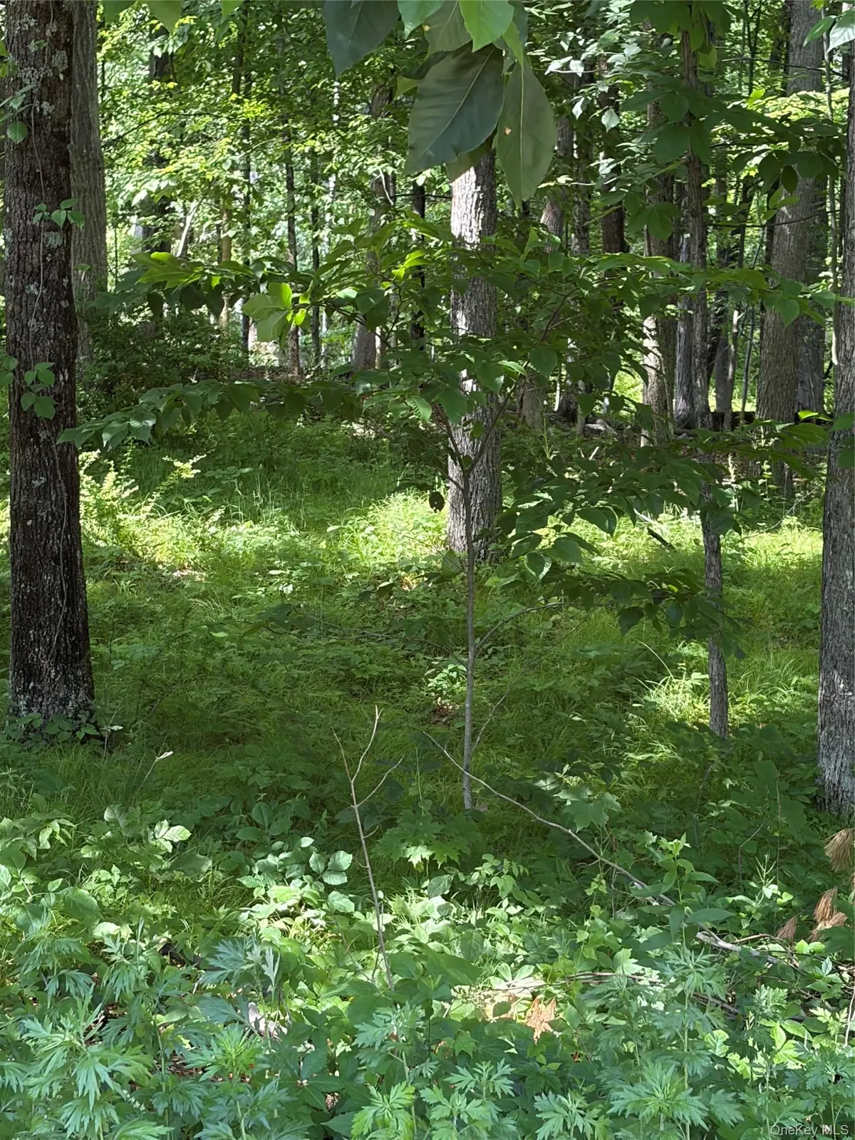 1501 US Route 209, Cuddebackville, NY 12729