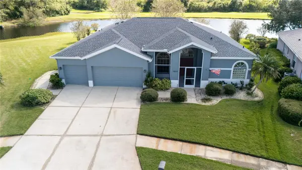13023 SAINT FILAGREE DR, Riverview, FL 33579