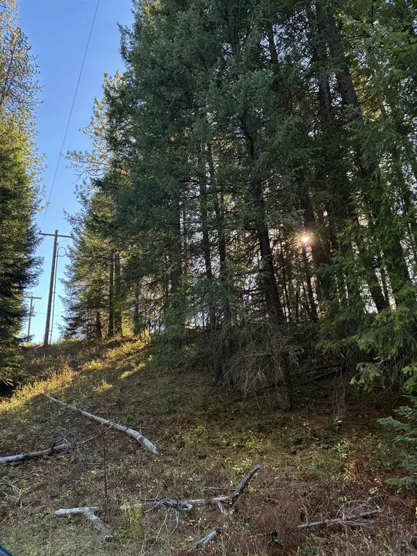 7611 Scotia Rd, Newport, WA 99156