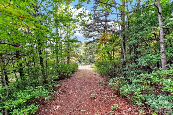 368 Sassafras DR #726, Old Fort, NC 28762