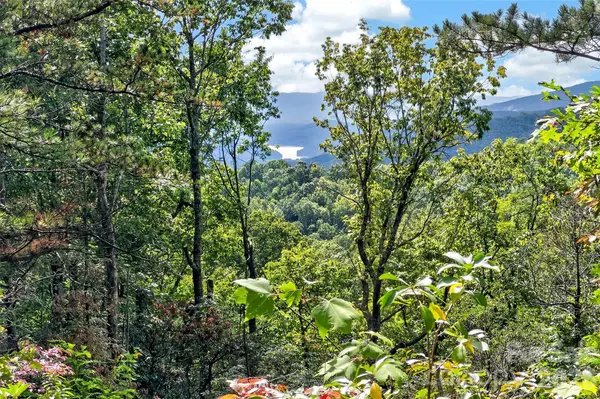 368 Sassafras DR #726, Old Fort, NC 28762