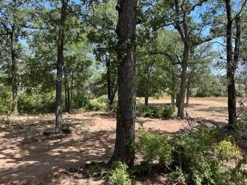 452 Wilhelm WAY, Red Rock, TX 78662