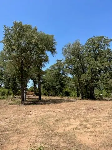 452 Wilhelm WAY, Red Rock, TX 78662