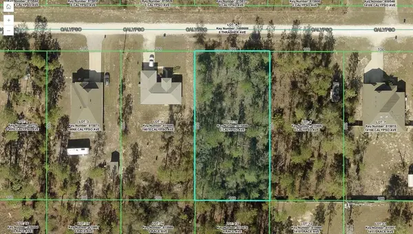 14082 CALYPSO AVE, Weeki Wachee, FL 34614