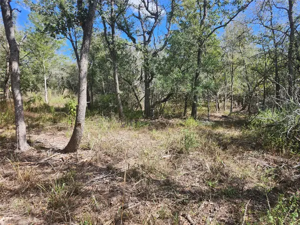 0000 Escondido DR, Del Valle, TX 78617
