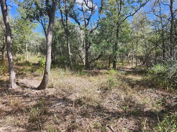 0000 Escondido DR, Del Valle, TX 78617