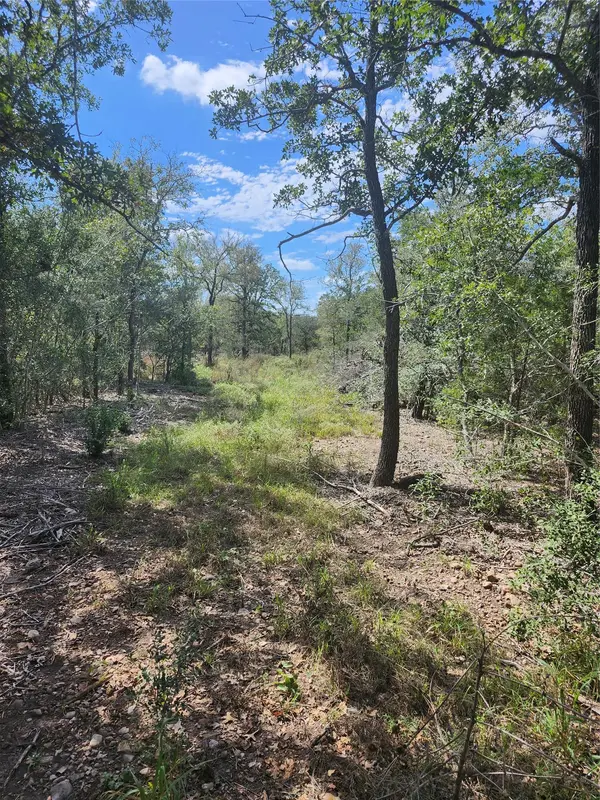 0000 Escondido DR, Del Valle, TX 78617