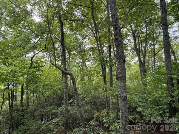 3315 Preserve RD #120, Sylva, NC 28779