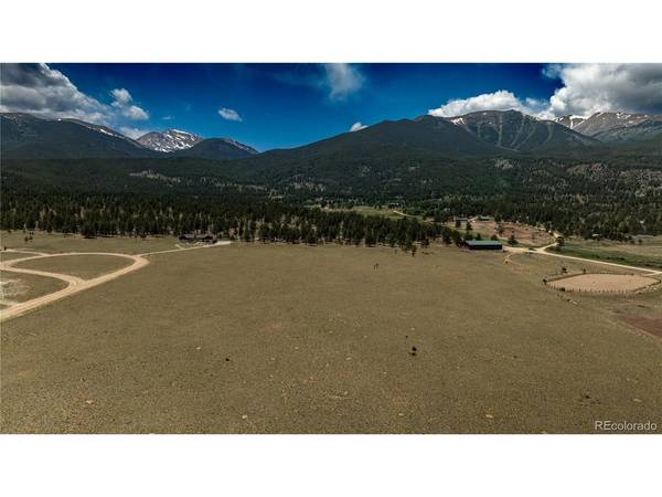 31308 N Meadow, Buena Vista, CO 81211