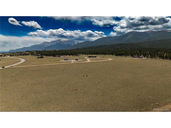 31308 N Meadow, Buena Vista, CO 81211
