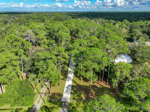 1205 CUPID AVE, Christmas, FL 32709