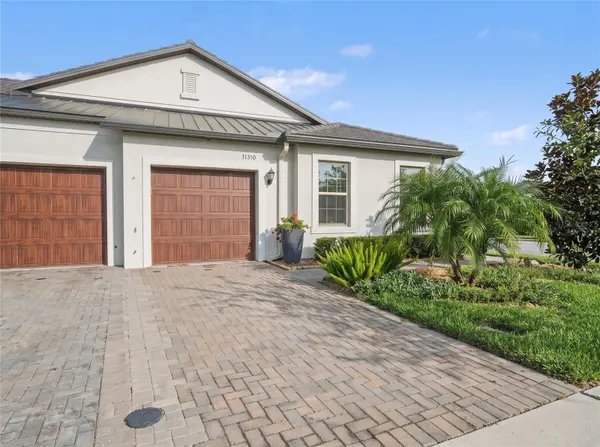 31310 CABANA RYE AVE, San Antonio, FL 33576