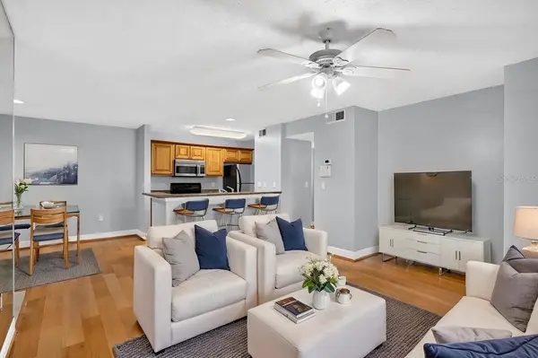 4211 CHATHAM OAK CT #111, Tampa, FL 33624