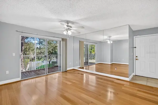 4211 CHATHAM OAK CT #111, Tampa, FL 33624
