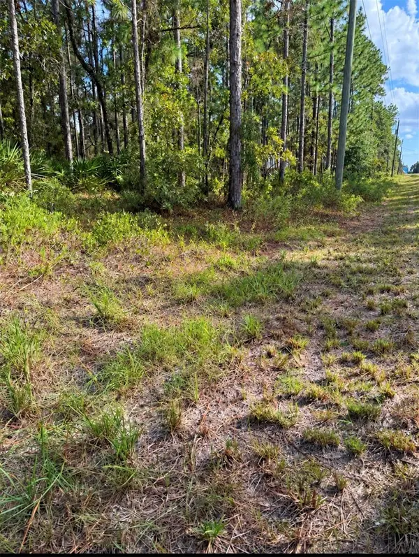 16154 MALDEN RD, Weeki Wachee, FL 34614
