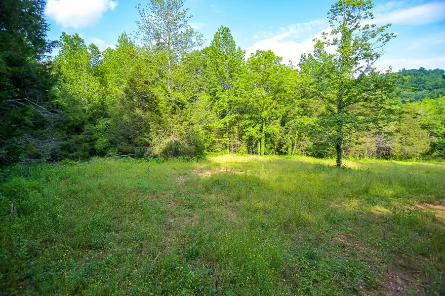 94 Short Creek Rd, Dellrose, TN 38453