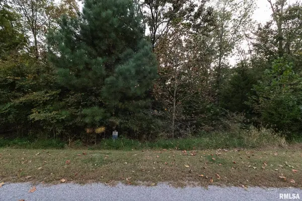 3145 Parrish Ridge LN, Goreville, IL 62939