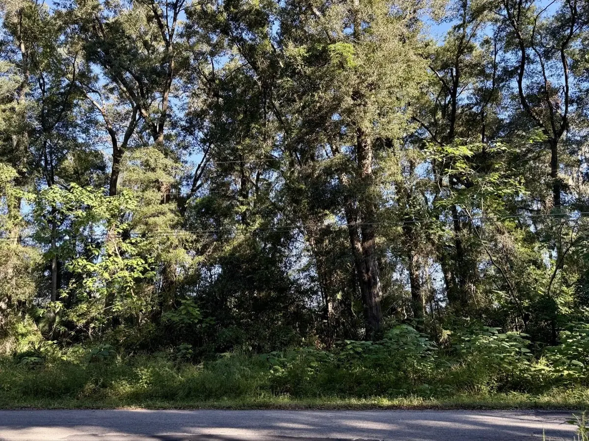 TBD NW 65TH PL, Ocala, FL 34471