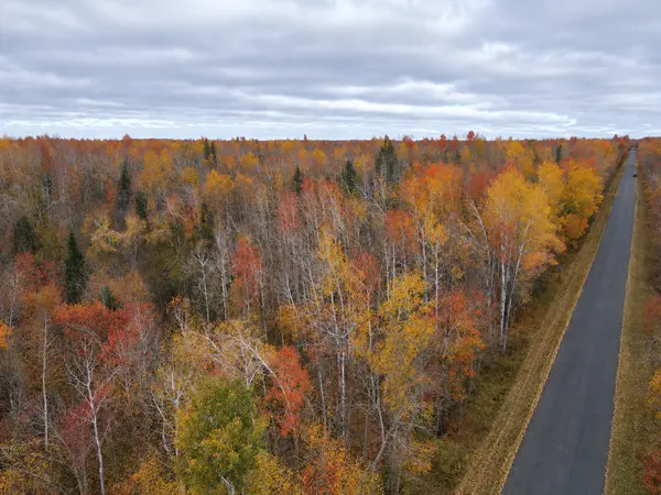 TBD Swedish Highway, Dairyland, WI 54830