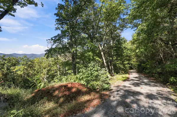 99999 Harrison Hill RD, Swannanoa, NC 28778