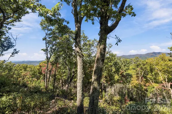 99999 Harrison Hill RD, Swannanoa, NC 28778