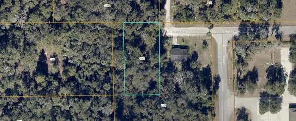811 W LISBON Pkwy, Deland, FL 32720