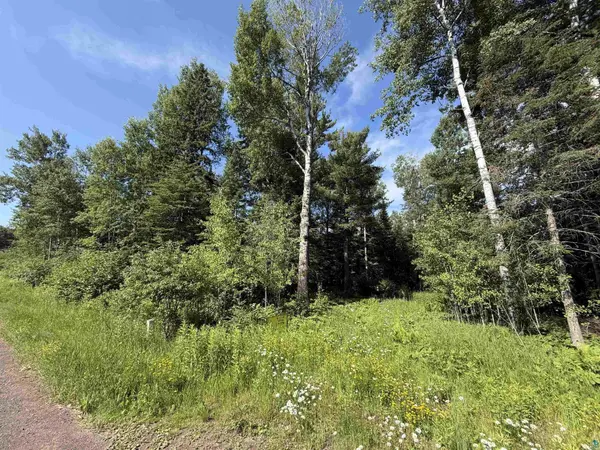 115 Marks Rd,  Esko,  MN 55733