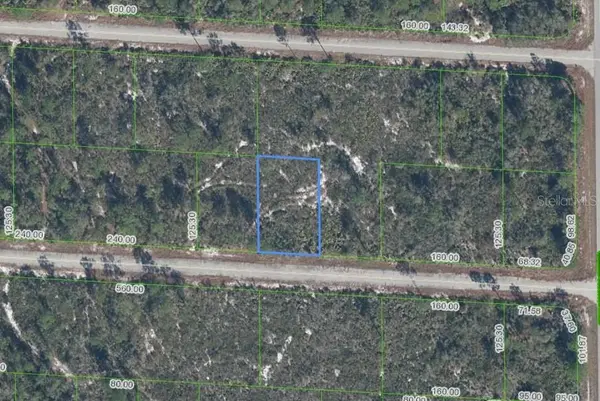 3509 SPOONBILL AVE, Lake Placid, FL 33852