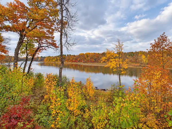 12222 Camwood TRL, Baxter, MN 56425