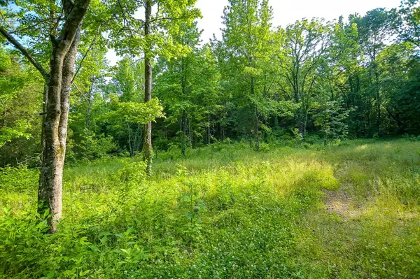 94 Short Creek Rd, Dellrose, TN 38453
