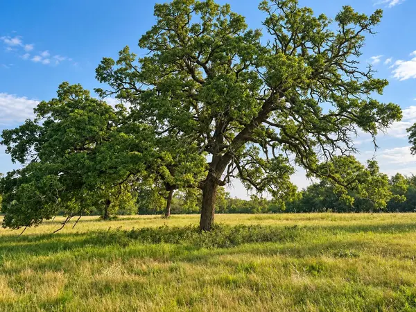 3222 Highway 21 E, Paige, TX 78659