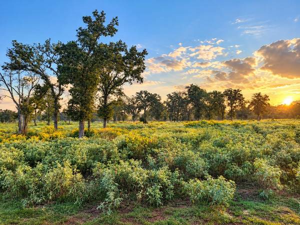 1791 County Road 441, Harwood, TX 78632