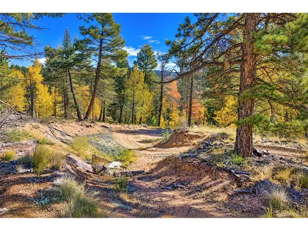 72 Buffalo Creek, Florissant, CO 80816