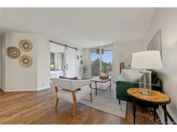 799 Dahlia #503, Denver, CO 80220