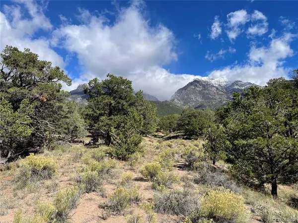 732 Rendezvous, Crestone, CO 81131
