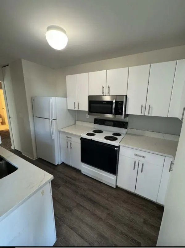 401 E ONTARIO ST #3110, Chicago, IL 60611