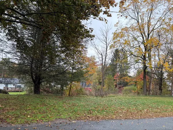 Fairway AVE, Liberty, NY 12754