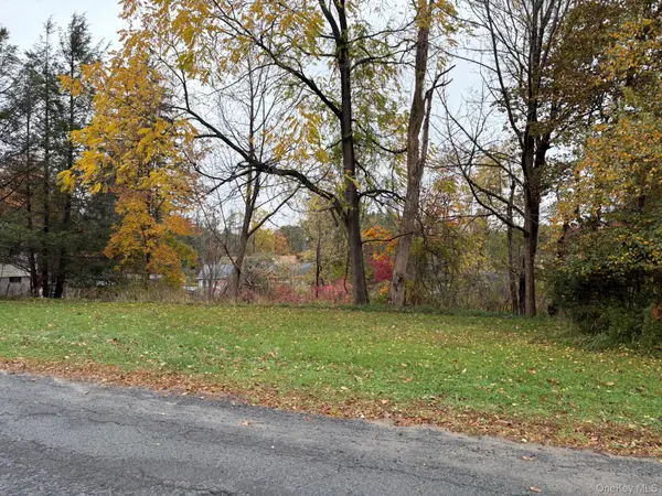 Fairway AVE, Liberty, NY 12754