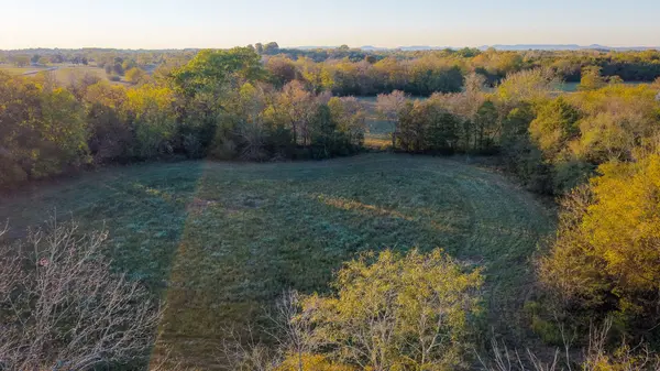 0 Manire Rd, Chapel Hill, TN 37034