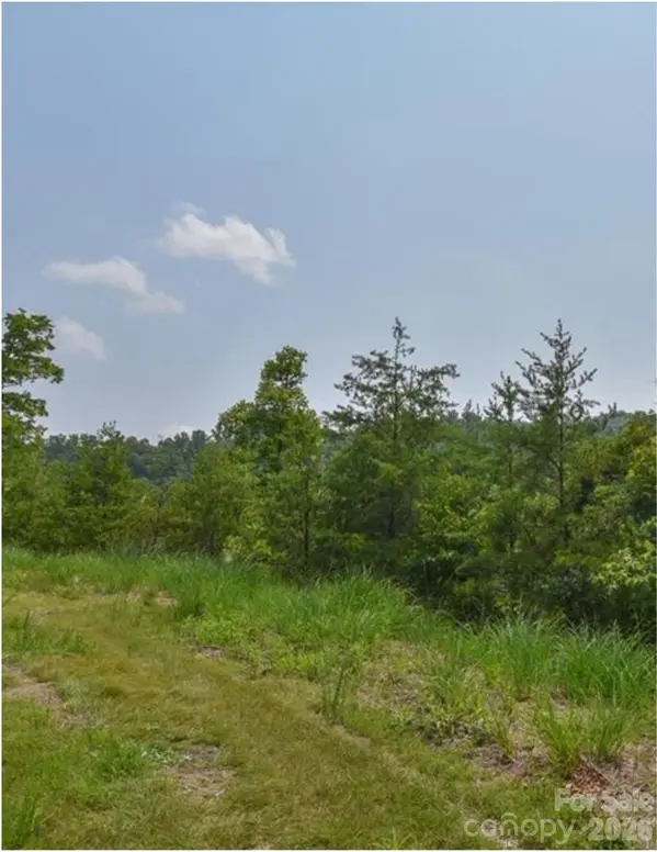 Lot 2, 4, 9-13, 15, 20-22 The Vines BLVD, Marshall, NC 28753