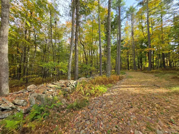 TBD Evergreen LN, Narrowsburg, NY 12764