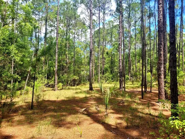 TROPICAL DR, Eustis, FL 32726