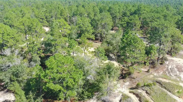 1402 TWIN LAKES BLVD, Interlachen, FL 32148