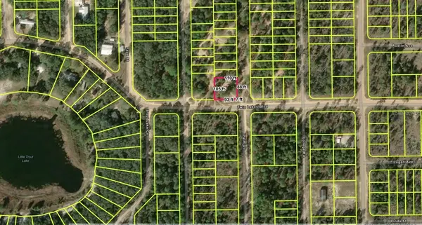 1402 TWIN LAKES BLVD, Interlachen, FL 32148