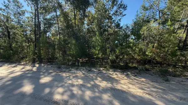 113 ROME AVE, Interlachen, FL 32148