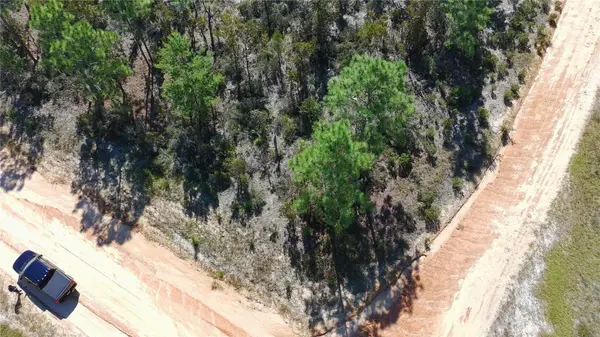 1403 DREW LN, Interlachen, FL 32148